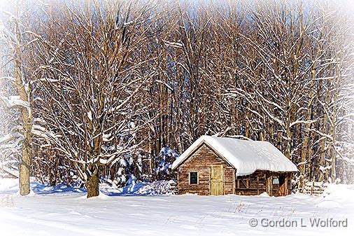 Snow-Covered Shed_32603.jpg - Photographed near Port Elmsley, Ontario, Canada.